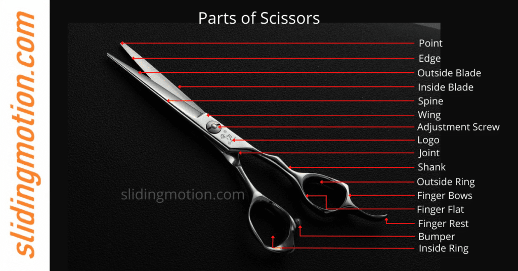 Parts of Scissors, Names & Diagram