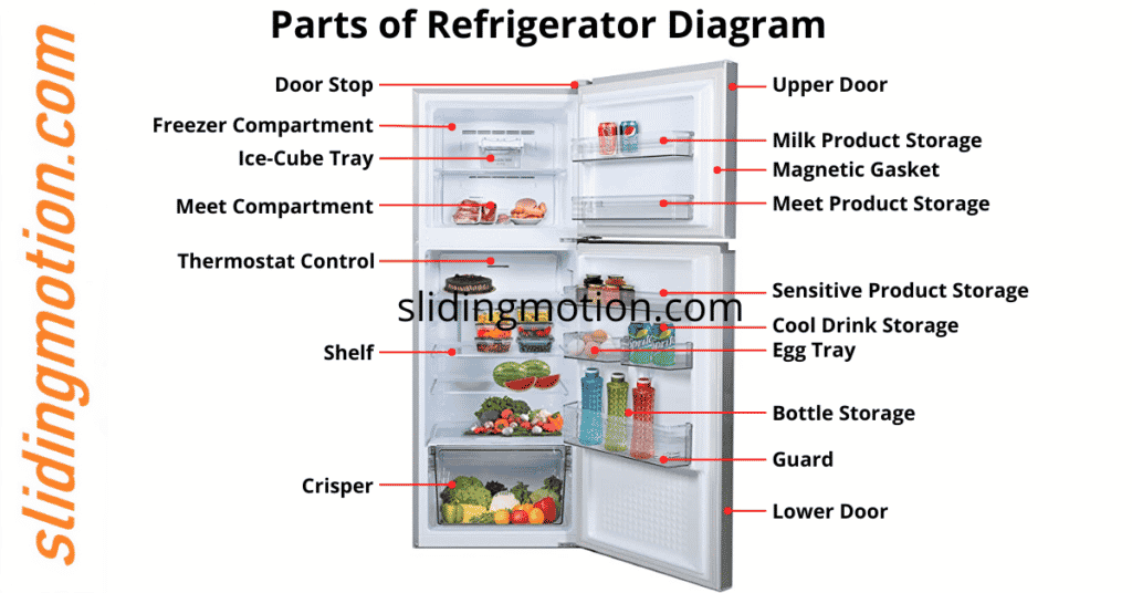 Parts of Refrigerator, Names, Functions & Diagram