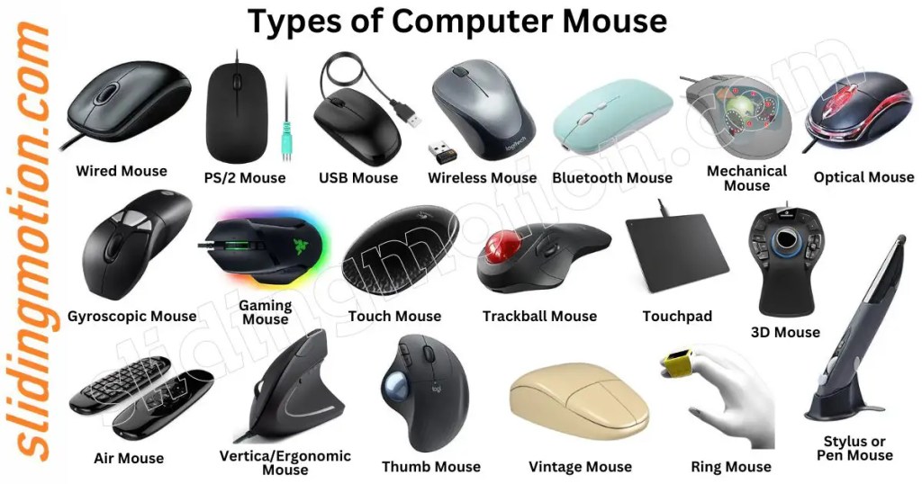Types of Mouse, Names & Pictures