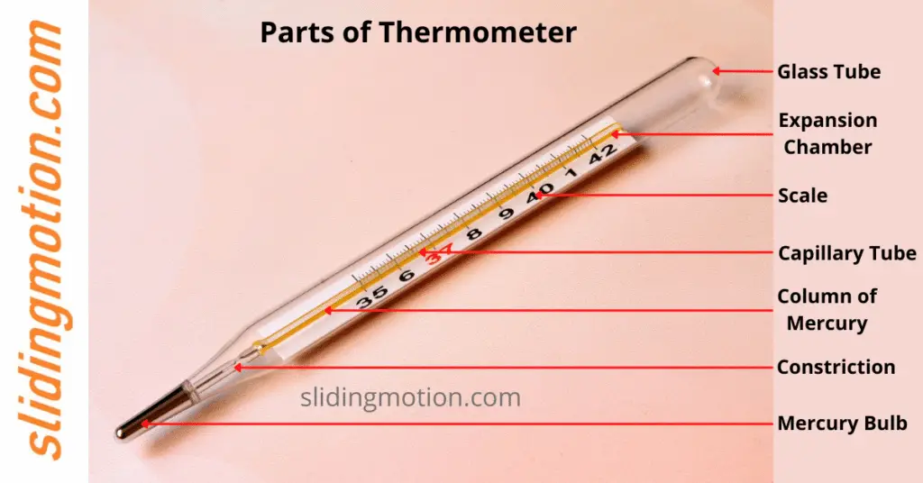 Complete Guide On Essential Thermometer Parts: Names, 51% OFF