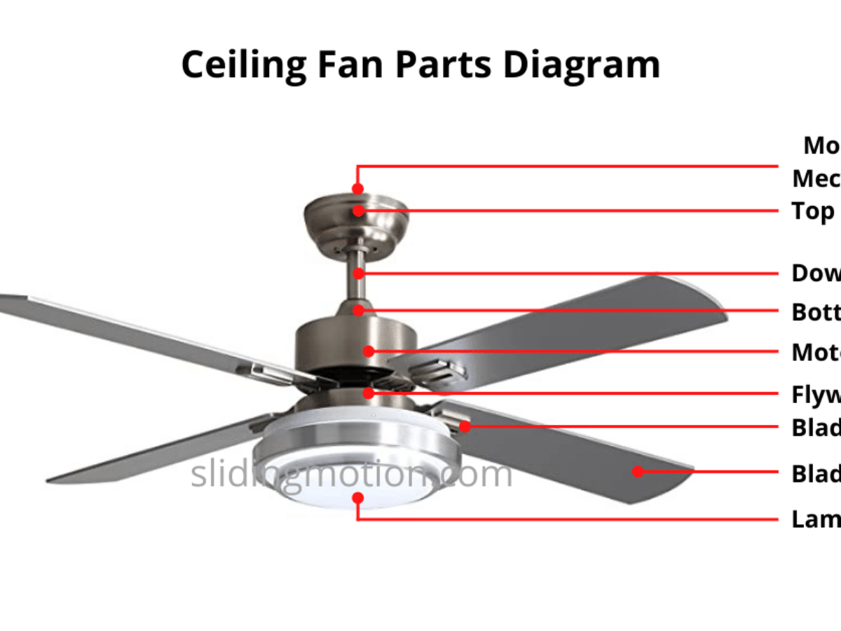 Ceiling fan porn