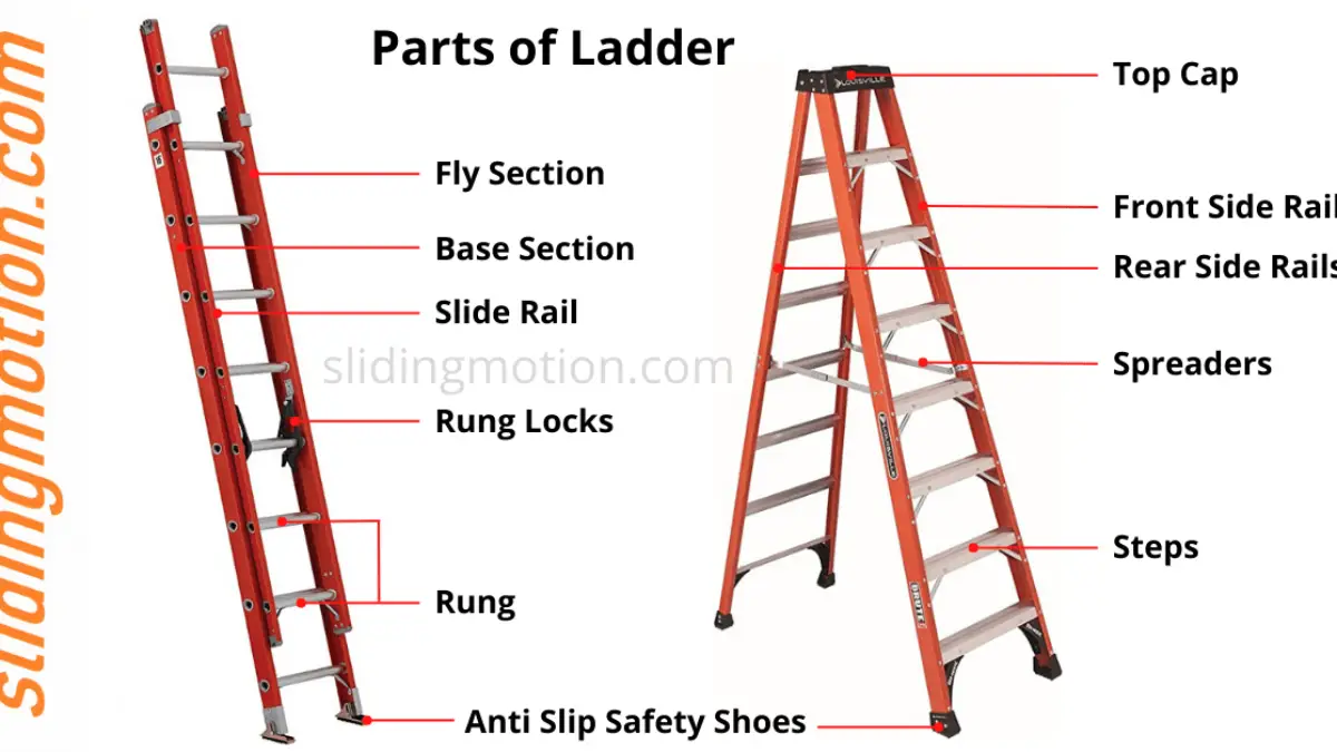 Parts Of A Ladder Infographic | atelier-yuwa.ciao.jp