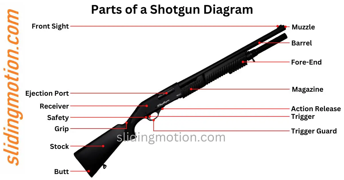 Guide for 16 Key Parts of a Shotgun Names Functions & Diagram
